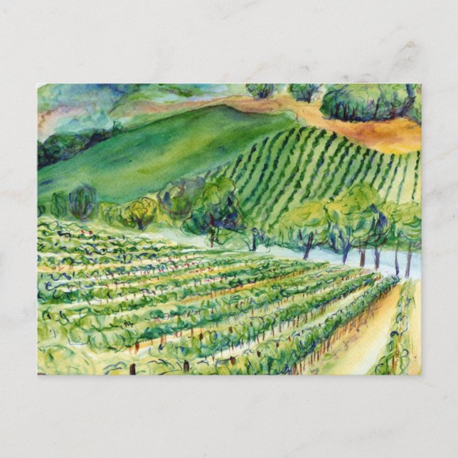 California Vineyard Postcard (Front)