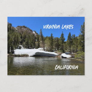 California Virginia Lakes Landscape Postcard