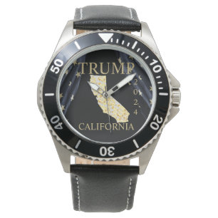 CALIFORNIA  WATCH
