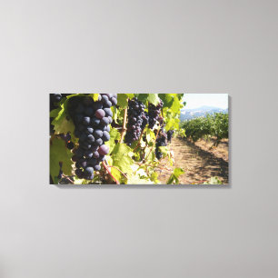 California Wine Country Canvas Print