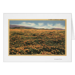 CaliforniaA Field of Californian Poppies