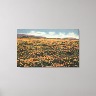 CaliforniaA Field of Californian Poppies Canvas Print