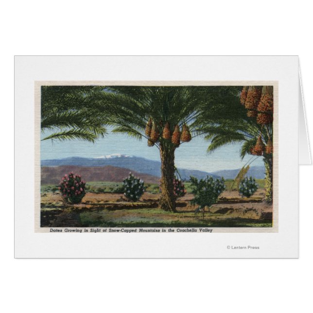 CaliforniaDates Growing in the Coachella (Front Horizontal)