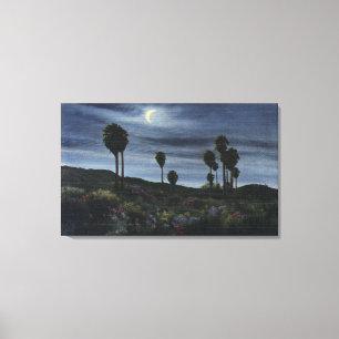 CaliforniaMoonlit View at Twenty-Nine Palms Canvas Print