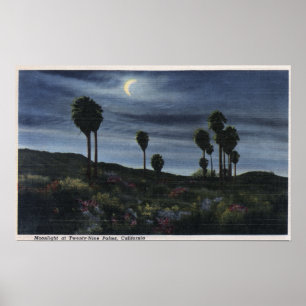 CaliforniaMoonlit View at Twenty-Nine Palms Poster
