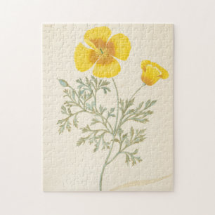 Californian Eschscholtzia Jigsaw Puzzle