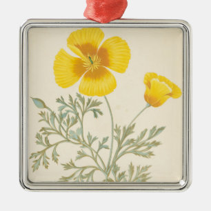 Californian Eschscholtzia Metal Tree Decoration