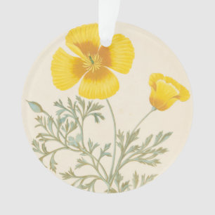Californian Eschscholtzia Ornament