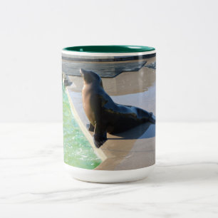 Californian sea lion Two-Tone coffee mug