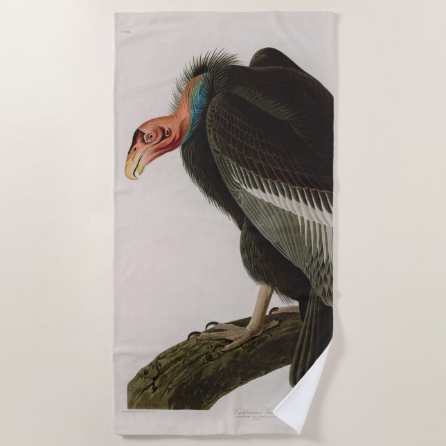 Californian Vulture Birds of America Audubon Print Beach Towel (Front)