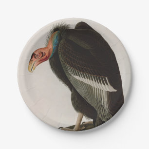 Californian Vulture Birds of America Audubon Print Paper Plate
