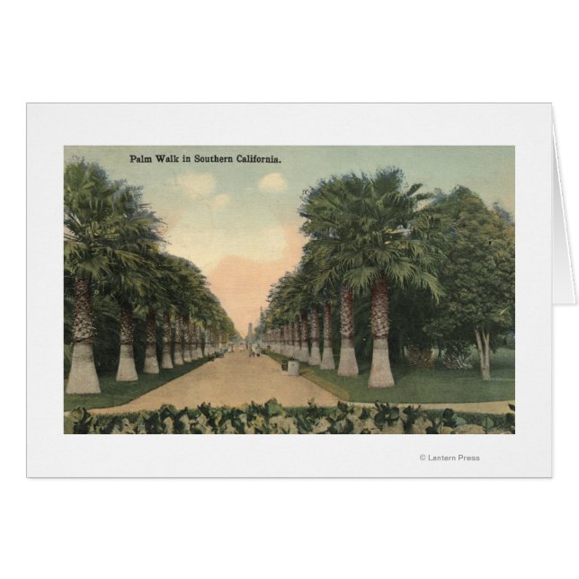 CaliforniaPalms Alongside Road (Front Horizontal)