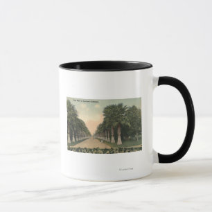 CaliforniaPalms Alongside Road Mug