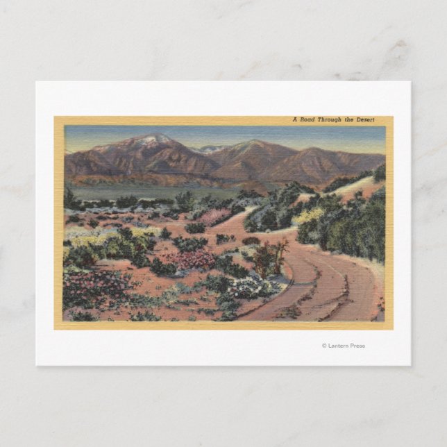 CaliforniaScenic Desert View Postcard (Front)