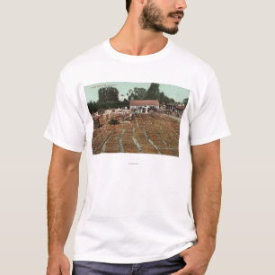 CaliforniaView of Peaches Drying in the Sun T-Shirt