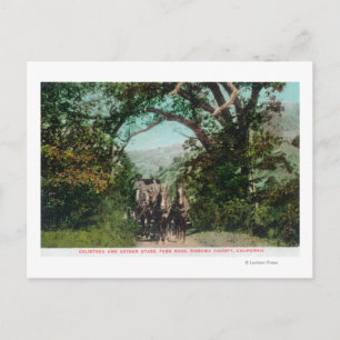 Calistoga and Geyser Stagecoach on Foss Road Postcard