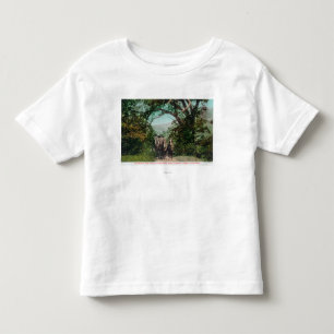 Calistoga and Geyser Stagecoach on Foss Road Toddler T-Shirt