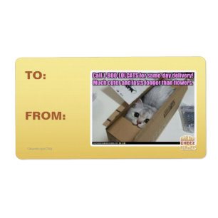 Call 1-800-LOLCATS