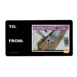 Call 1-800-LOLCATS