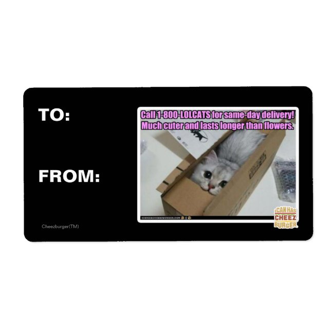 Call 1-800-LOLCATS (Front)