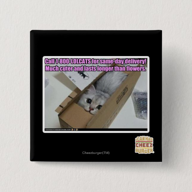 Call 1-800-LOLCATS 15 Cm Square Badge (Front)