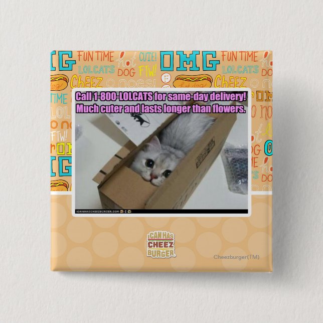 Call 1-800-LOLCATS 15 Cm Square Badge (Front)