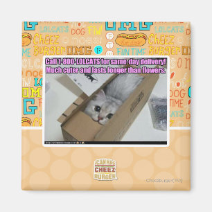 Call 1-800-LOLCATS Magnet