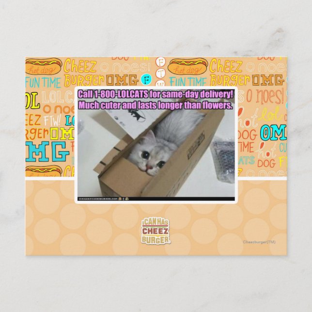 Call 1-800-LOLCATS Postcard (Front)
