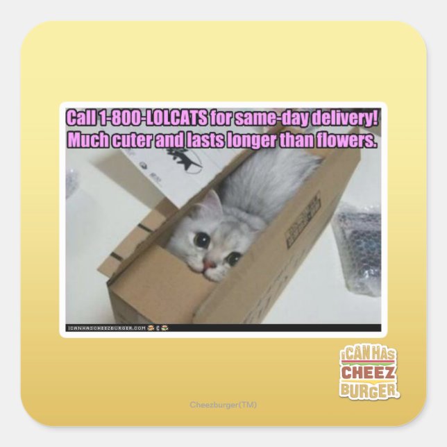 Call 1-800-LOLCATS Square Sticker (Front)