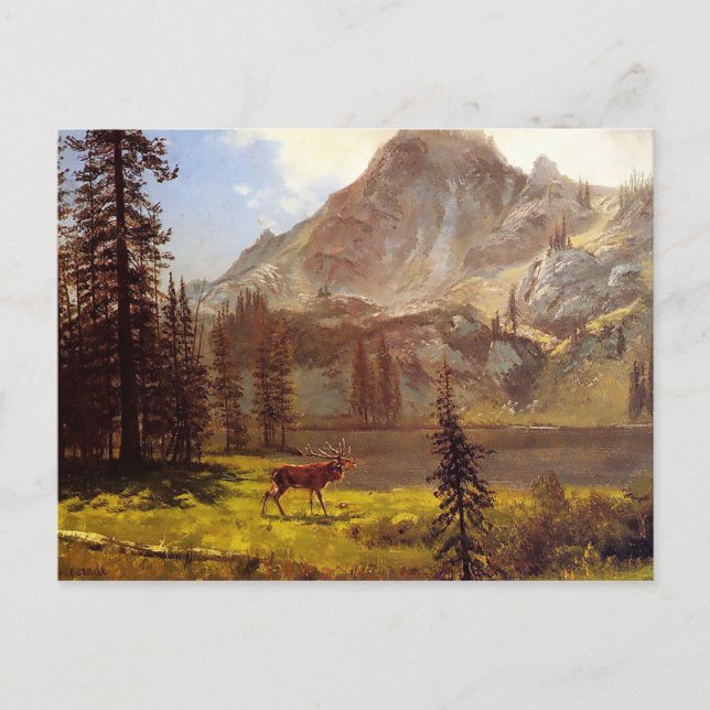 Call of the Wild by Albert Bierstadt 1876–77 Postcard (Front)