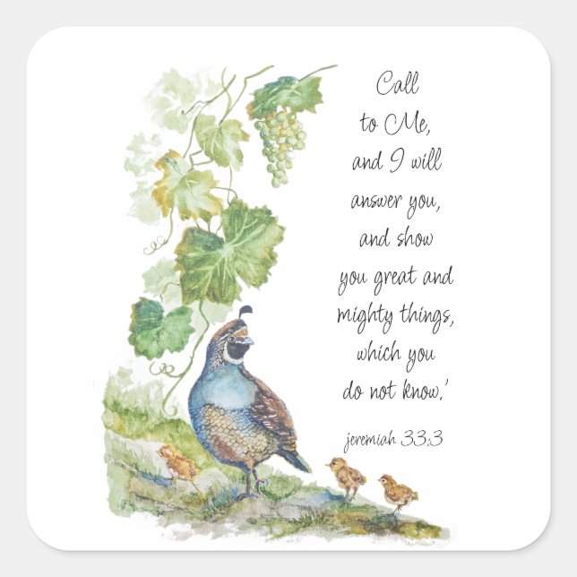 Call to Me Scripture Inspiration California Quail  Square Sticker (Front)