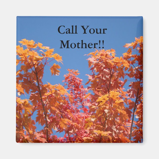 Call Your Mother! magnets Blue Sky Fall Trees (Front)