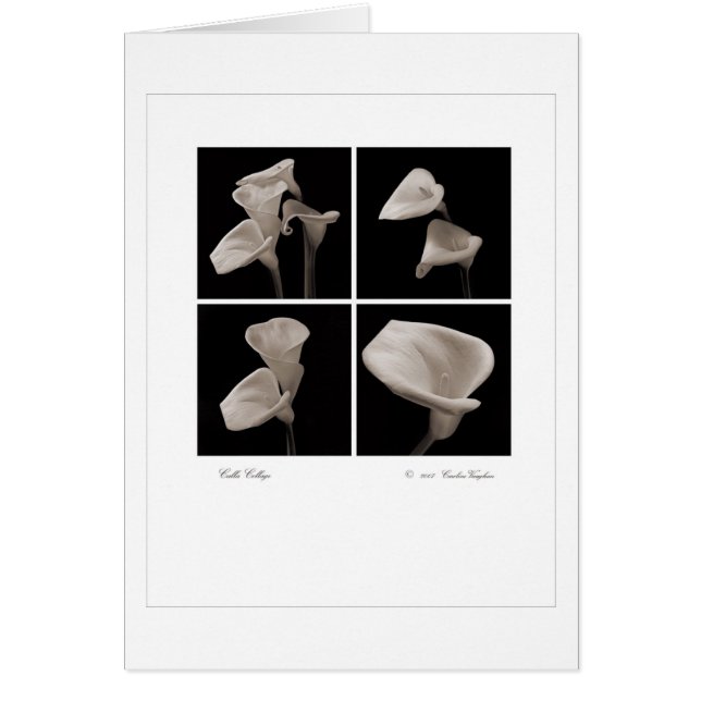 Calla_collage_2007_Brochure 2010 (Front)