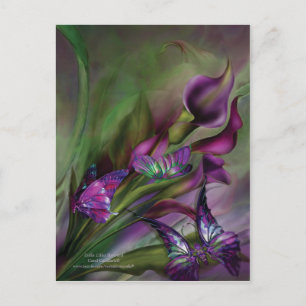Calla Lilies Art Postcard