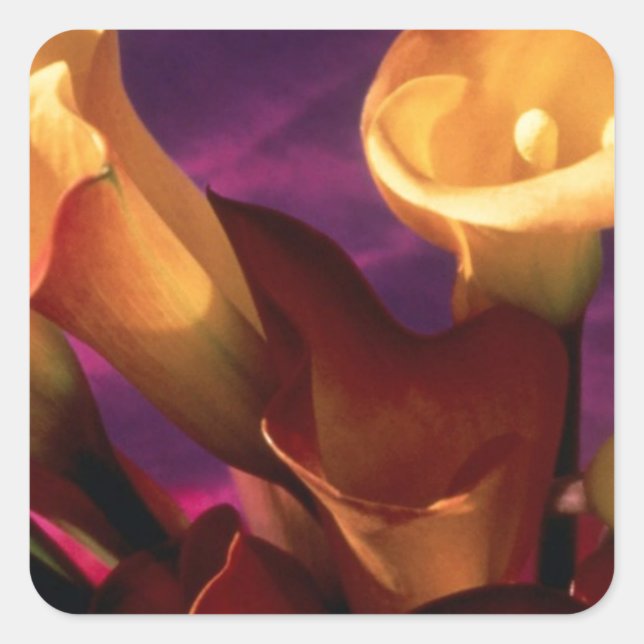 Calla Lilies Collection Square Sticker (Front)