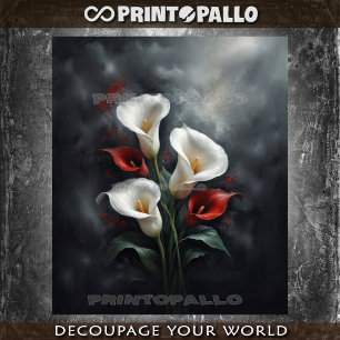 Calla lilies flowers composition #2 on black  tissue paper