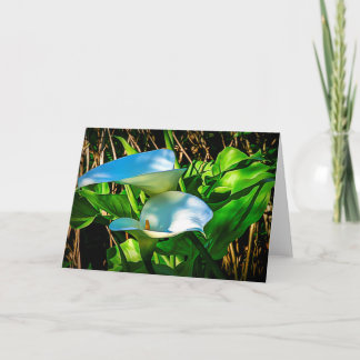 Calla Lilies Note Card
