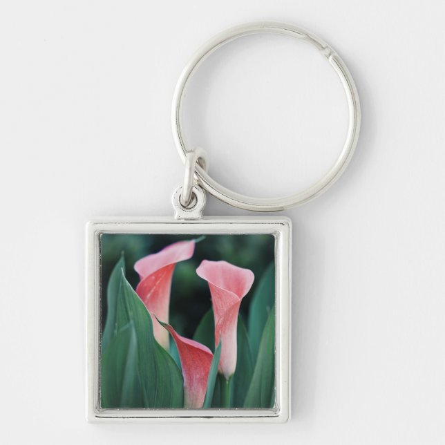 Calla Lilies Pink Flowers Key Ring (Front)