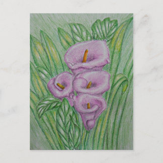 Calla lilies postcard