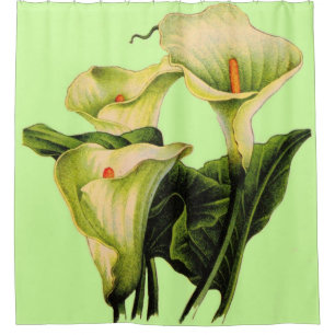 Calla lilies print shower curtain