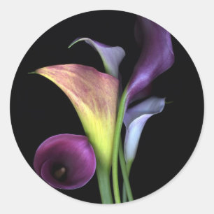 Calla Lilies Stickers