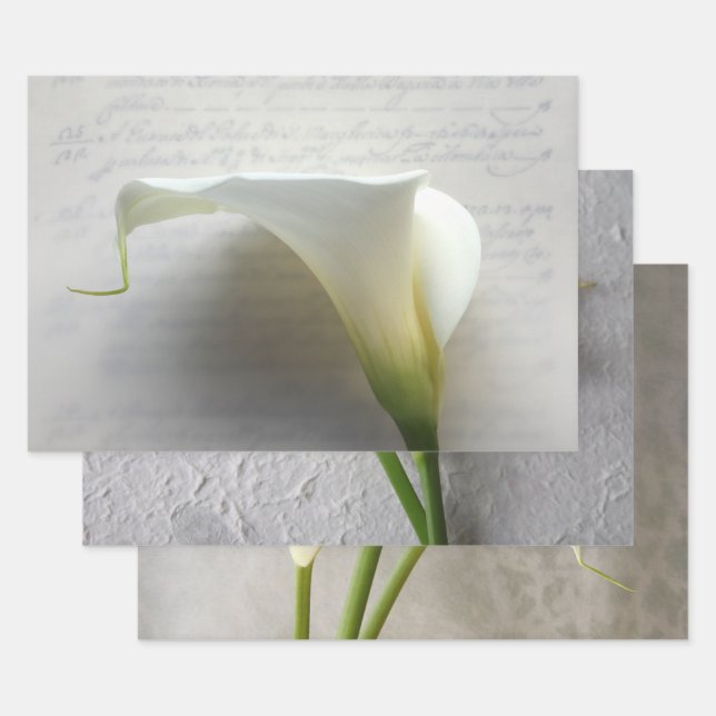 Calla lilies Wrapping Paper Set of 3 (Set)