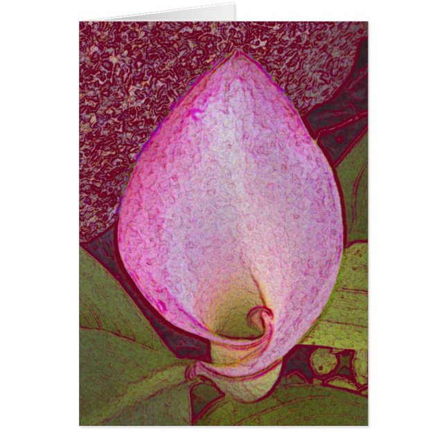 Calla Lilly (Front)