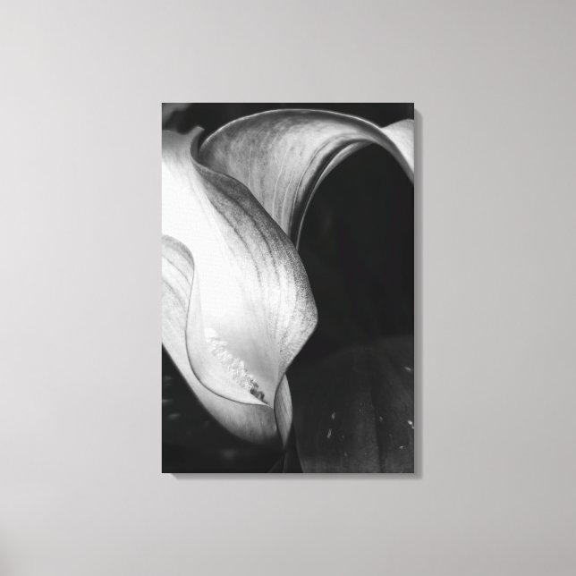 Calla Lilly Canvas Print (Front)