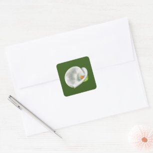 Calla Lilly Square Sticker