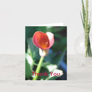 Calla Lilly, Thank You Card