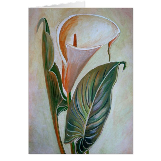 Calla Lily (Front)