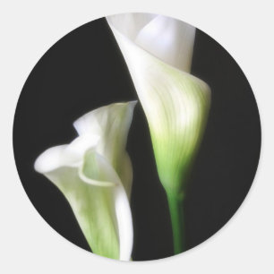 Calla Lily 2 Classic Round Sticker