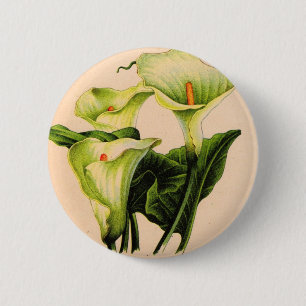 calla lily calla lilies 6 cm round badge