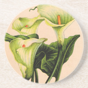 calla lily calla lilies coaster